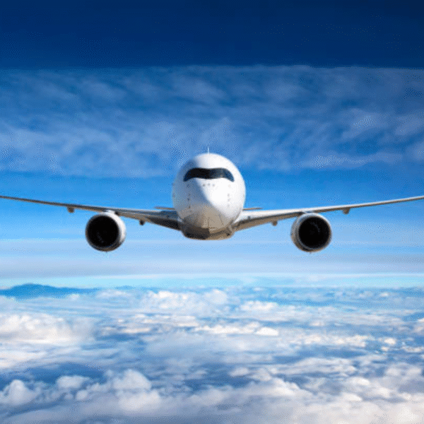 Flights from USA to India: A Complete Guide for NRI Travelers  